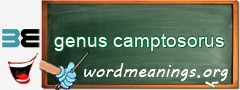 WordMeaning blackboard for genus camptosorus